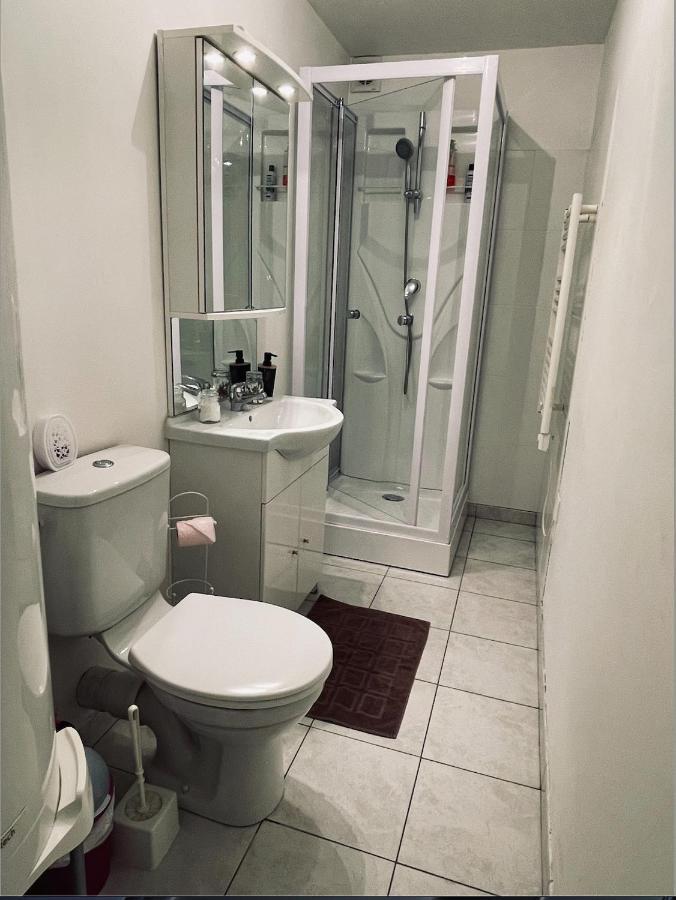 Appartement Avec Parking Gratuit Et Wifi Vierzon Eksteriør billede