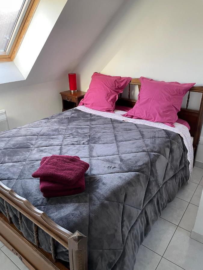 Appartement Avec Parking Gratuit Et Wifi Vierzon Eksteriør billede