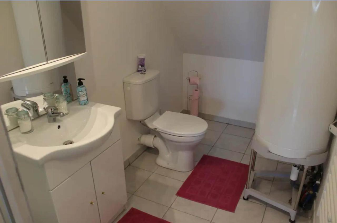 Appartement Avec Parking Gratuit Et Wifi Vierzon Eksteriør billede