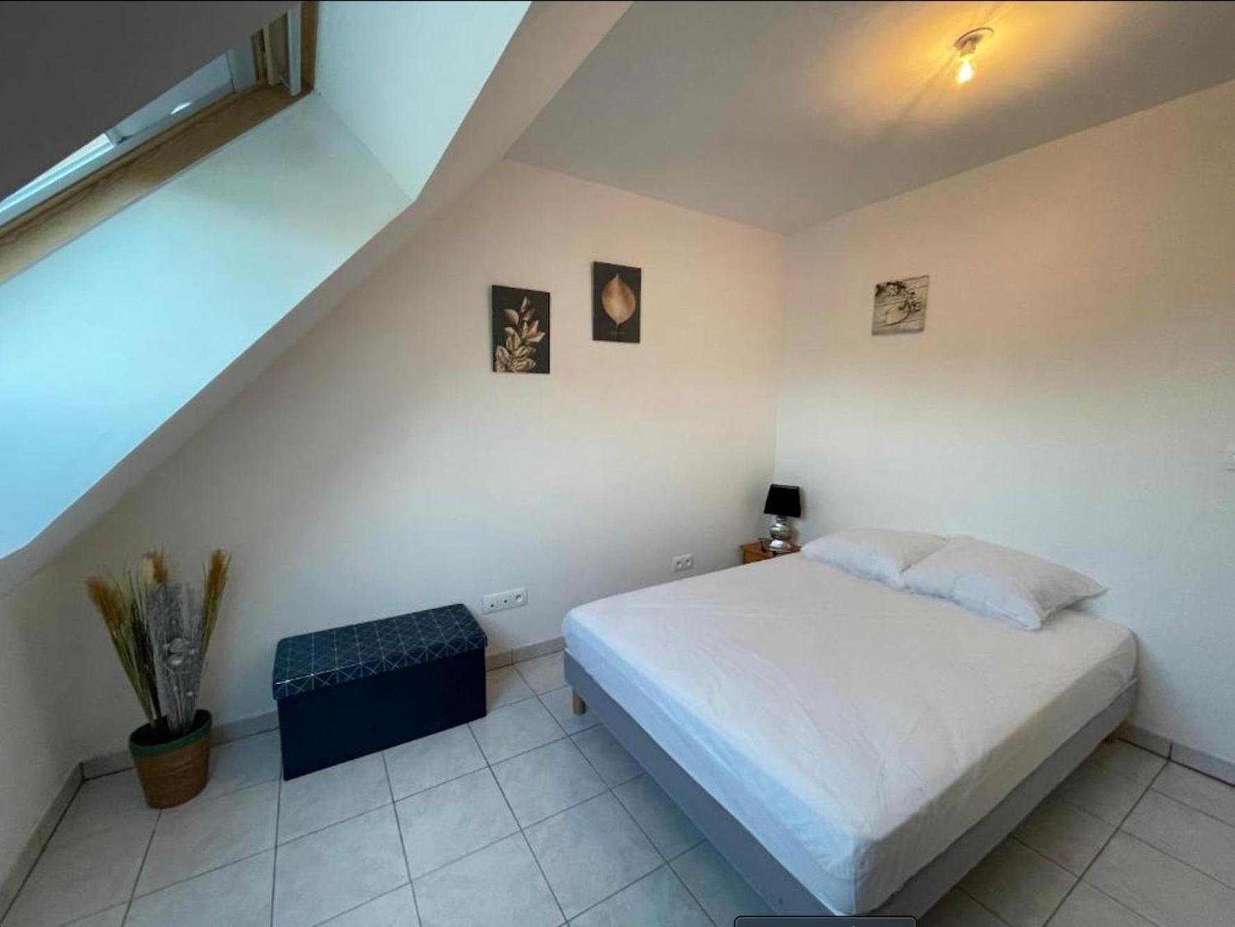 Appartement Avec Parking Gratuit Et Wifi Vierzon Eksteriør billede