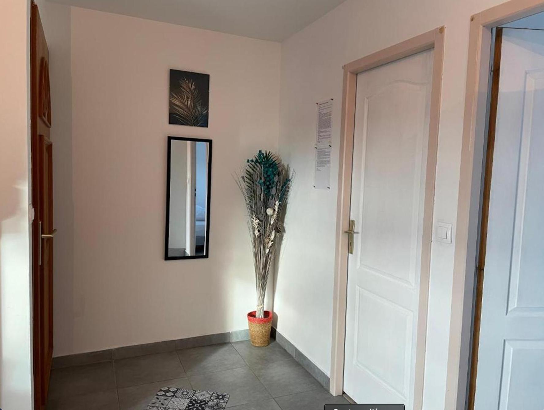 Appartement Avec Parking Gratuit Et Wifi Vierzon Eksteriør billede